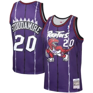 Damon Stoudamire Toronto Raptors Stylish 1995/96 Hardwood Classics Swingman Jersey Purple